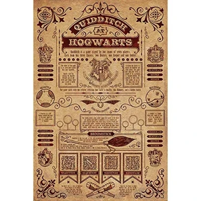 Image de Wizarding World Harry Potter (Quidditch At Hogwarts) 61 x 91.5 cm Maxi Poster