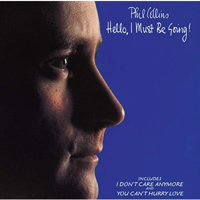 Image de Hello, I Must Be Going Livre d’occasion Correct