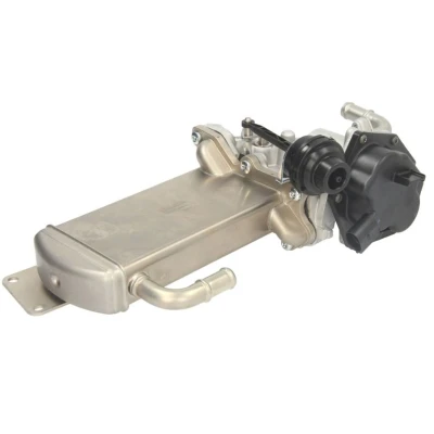 Image de Soupape AGR DELPHI EG10576 12B1
