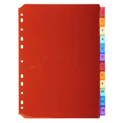 Image de Exacompta Réf. 3912E Intercalaires en polypropylène translucide avec 12 onglets neutres porte étiquette Livré une planche d&#039;étiquettes détachables Format à classer A4