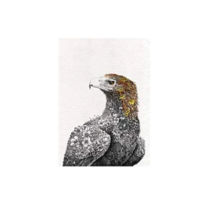 Image de Maxwell &amp; Williams Serviette de Table 100% Coton, Imprimé d&#039;Aigle Australien, Collection Marini Ferlazzo, 50 x 70 cm Multicolores