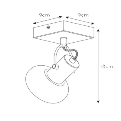 Image de Lucide Spot pour plafond Madee noir/fumé, à 1 lampe