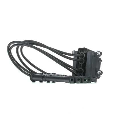 Image de Delphi Bobine d&#039;allumage CE20018 12B1