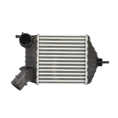 Image de NRF 30141 Intercooler FIAT: Punto II 3/5 portes