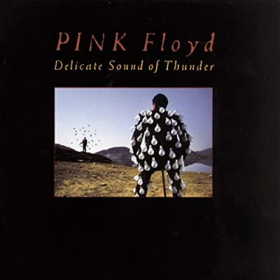 Image de Delicate Sound of Thunder (Live)