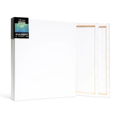 Image de Elan Toile à Peindre 50x60, 100% Coton 6 Pack de Toiles Pré étirées, Peinture, Vierge, Canvas Peindre, Chassis Entoilé, a