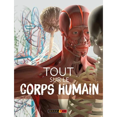 Image de Tout sur le corps humain Livre documentaire Dès 7 ans d’occasion Correct