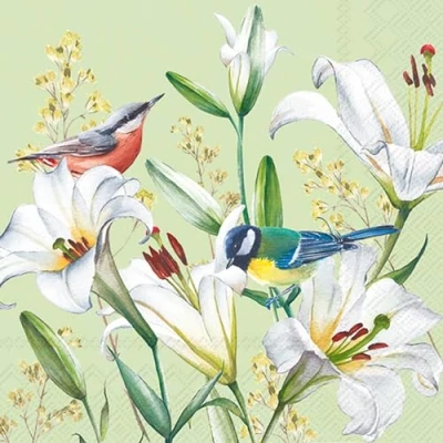 Image de Lot de 20 serviettes en papier avec motif fleurs, jardin et nature oiseaux lys comme décoration table Convient également pour le découpage la technique des 33 x cm