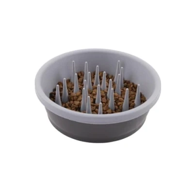 Image de Dexas Gamelle pour Chien à Alimentation Lente Une Digestion Plus Saine, des Dents et gencives, capacité de 6 Tasses, Gris