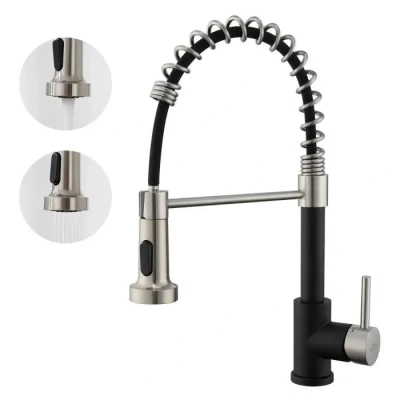Image de Robinet de Cuisine en Inox Rotatif 360 Mitigeur à Ressort avec 2 Fonctions Douchette Extractible, Noir