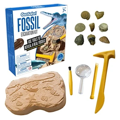 Image de Learning Resources Kit d’excavation de fossiles GeoSafari