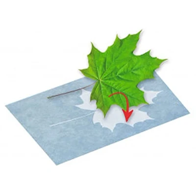 Image de moses. PhänoMINT Papier à Impression Solaire, Jouet d&#039;expérimentation pour Enfants, de Bricolage Observer Les phénomènes scientifiques, 10 Feuilles 13,5 x 19 cm Imprimer