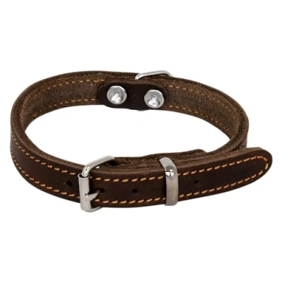 Image de JACK AND VANILLA, Collier pour Chien, Modèle Cuir Gras, Couleur Brun, Taille 18 mm x 45 cm