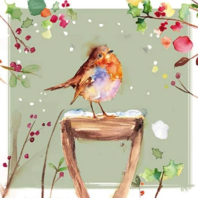Image de The Almanac Gallery ALM ALCX0481 Lot de 8 cartes Noël caritatives Motif rouge gorge sur une poignée enneigée