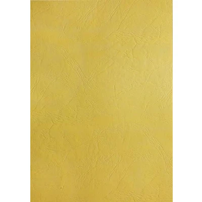 Image de Pavo Boîte de 100 Plats couvertures A4 grain cuir 250 g Jaune