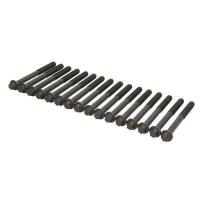Image de REINZ 14 32238 02 Jeu De Vis Culasse Torx extérieur