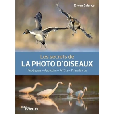 Image de Les secrets de la photo d&#039;oiseaux: Repérages Approche Affûts Prise vue