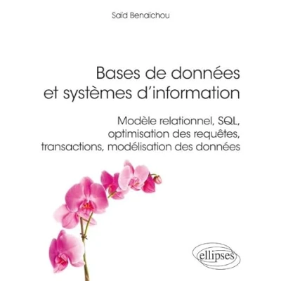 Image de Bases de données et systèmes d&#039;information: Modèle relationnel, SQL, optimisation des requêtes, transactions, modélisation