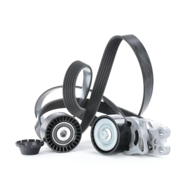 Image de RIDEX 542R0086 Jeu de courroies trapézoïdales à nervures PEUGEOT: 206 3/5 portes, Partner I Van, Combispace