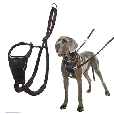 Image de Harnais anti traction HALTI, Taille L, Pour que votre grand chien arrête de tirer sur sa laisse, Réfléchissant sangle poitrail et des pattes avant rembourrée
