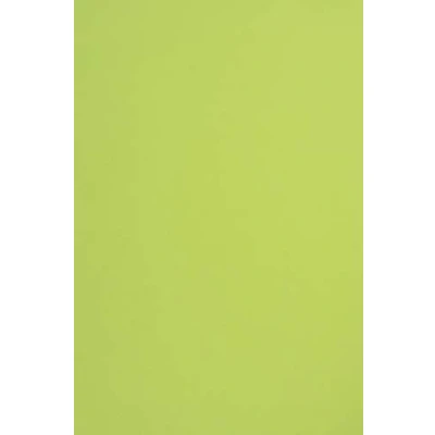 Image de Netuno 100x papier vert clair A4 210x297mm 170g Sirio Color Lime carton d&#039;argile coloré de bricolage décoratif pour mariage invitations cartes postales vœux décoration