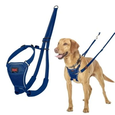 Image de Harnais Anti Traction HALTI pour Que Votre Chien arrête de Tirer sur sa Laisse, Sangle poitrail et des Pattes Avant rembourrée, Chiens Taille Moyenne (Taille M, Bleu Cobalt)