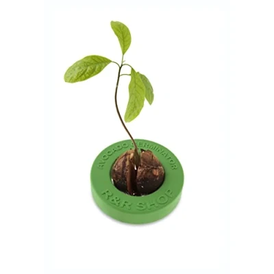 Image de R&amp;R SHOP Avocado Germinator Pot Flottant pour la Germination de l&#039;avocat, kit Croissance des graines, Plastique maïs 100% (Vert)