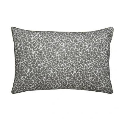 Image de Taie d&#039;oreiller imprimée en percale de Coton, Osmose, 50x75cm, Essix