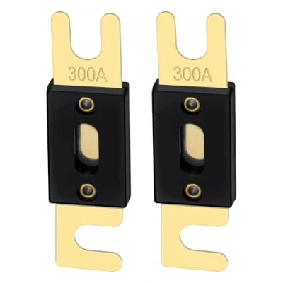 Image de Heschen ANL Fuse 300 Lot de 2 fusibles A pour système audio voiture Doré et noir