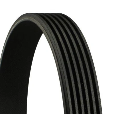 Image de CONTITECH 6PK2615 Courroie Poly V 2615 6 AUDI: A6 C4 Avant, A8 D2, Berline, SAAB: 9 5 Break