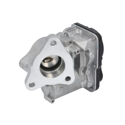 Image de Vanne EGR DELPHI EG10557 12B1