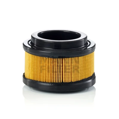 Image de MANN FILTER C 11 008 Filtre, ventilation du carter moteur