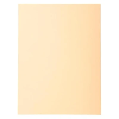 Image de Exacompta Réf. 420002E Carton de 5 paquets 100 chemises semi rigides Forever® 170 g/m2 100% recyclées et certifiées Ange Bleu dimensions 24 x 32 cm pour format A4 couleur bulle