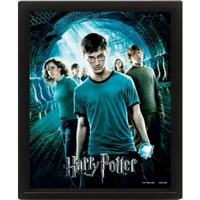 Image de Pyramid International Harry Potter Poster lenticulaire 3D de l&#039;Ordre du Phénix 25 cm x 20 1,3 dans un cadre boîte Produit officiel