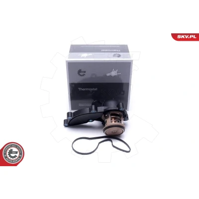 Image de Thermostat d&#039;eau ESEN SKV 20SKV178