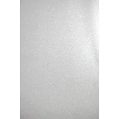 Image de Netuno 100x carton blanc nacré A4 210x 297 mm 250g Aster Metallic White Sequins papier avec motif circulaire pour bricolage invitations cartes de vœux décoration anniversaires loisirs créatifs