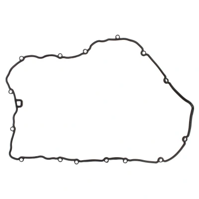 Image de ELRING 005.520 Joint De Cache Culbuteurs DAF: XF 105