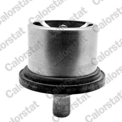 Image de Thermostat (liquide de refroidissement) CALORSTAT BY VERNET THS19094.80