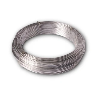 Image de Chapuis Fil de Tension Acier Galvanisé pour Solidifier les Clôtures Utilisation Extérieure Résistance et Longévité Diamètre 2,7 mm Longueur 50 m