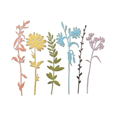 Image de Sizzix Thinlits Matrice de découpe par Tim Holtz 6/Pkg Vault Wildflowers