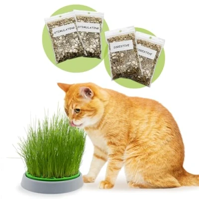 Image de R&amp;R SHOP Kit Cataire Double graines Pot de Germination, 2 Types d&#039;herbe à Chat, stimulante et Digestive, 4 sachets substrat, Convient Tous Les Chats
