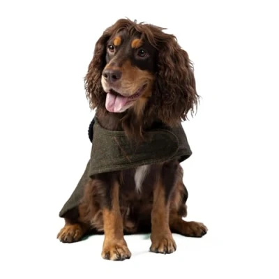 Image de HUGO &amp; HUDSON x Hackett Veste pour Chien en Tweed avec col Velours côtelé, Carreaux Vert foncé XS