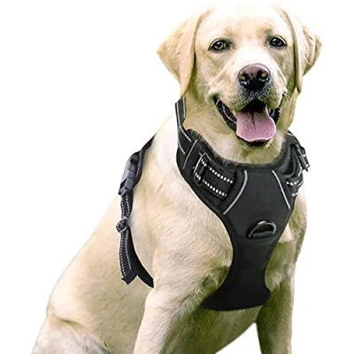 Image de rabbitgoo Harnais Chien Anti Traction, Arnet pour Facile à Mettre Réfléchissant Réglable avec Attache Devant Moyen, Large, Couleur Noir