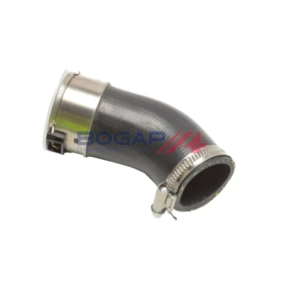Image de BOGAP A1711391 Gaine De Suralimentation VOLKSWAGEN: Transporter 5, 5 Bus, Multivan (7HM