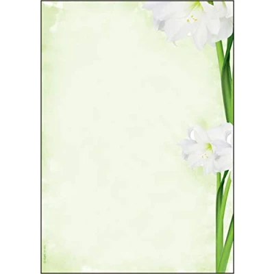 Image de SIGEL DP463 Papier à lettres, 21 x 29,7 cm, 90g/m², fleurs de lis blanc, vert, 25 feuilles