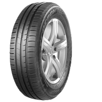 Image de Tracmax X Privilo TX2 135/70 R15 70T auto Pneus été SMART: Fortwo I Coupe, City Cabriolet, CITROËN: 2CV Berline TX2R1501