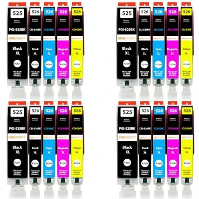 Image de Amaprint 20 XL Cartouches compatibles avec Canon PGI 525 CLI 526 adaptées à Pixma IP4850 IP4950 IX6550 MG5140 MG5150 MG5240 MG5250 MG5300 MG5340 MG5350 MX715 MX885 MX895