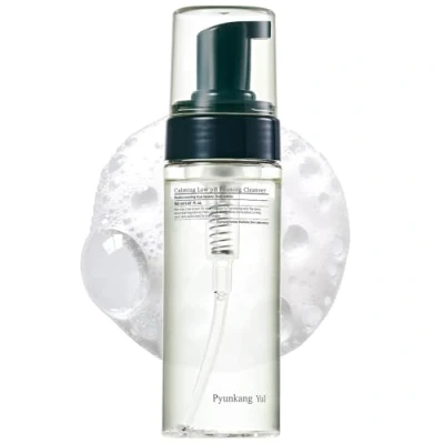 Image de [PKY] Pyunkang Yul Nettoyant Moussant Apaisant à Faible pH Quotidien et Démaquillant pour le Visage avec Arbre Thé, Centella Asiatica (150 ml, 5.07 Fl. Oz)