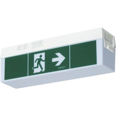 Image de B Safety Luminaire pictogramme LED C Lux Standard, 3 heures