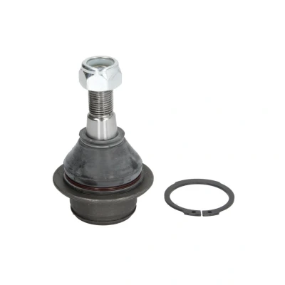 Image de MOOG FD BJ 0814 Rotule de suspension côté conducteur ou passager, inférieur, Essieu avant 21,4 44,5 77 FORD: Transit Connect Mk1 Van, Mk6 Van